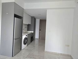 Affinity At Serangoon (D19), Apartment #620024381